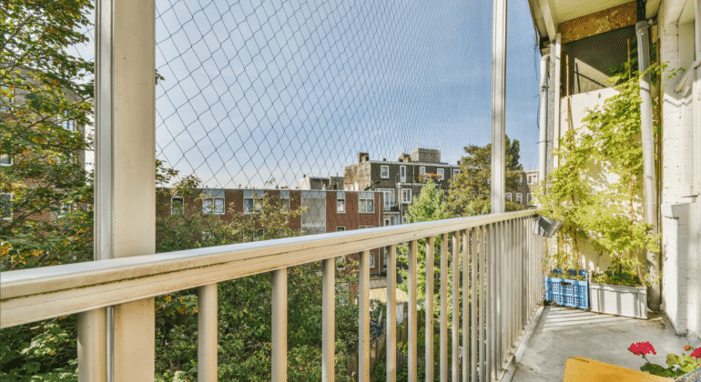 How to Keep Your Balcony Clean and Bird-Free?